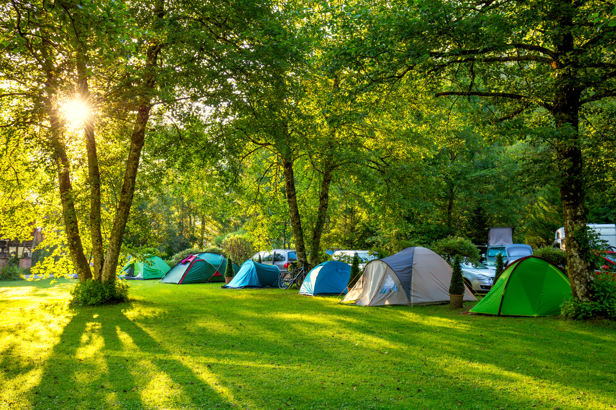 Tents Camping area, early morning, beautiful natural place with big trees and green grass, Europe