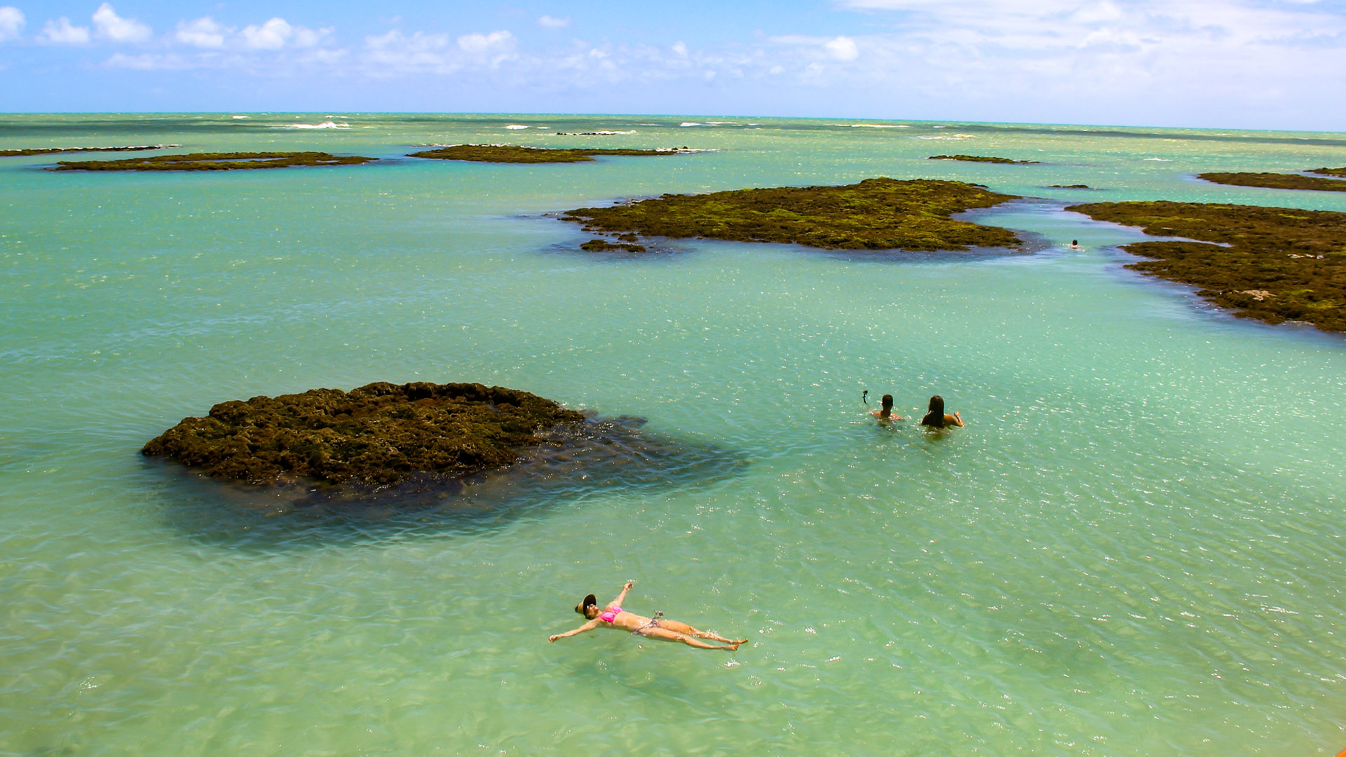 Piscinas Naturais: Como Transformar seu Quintal em um Paraíso Ecológico