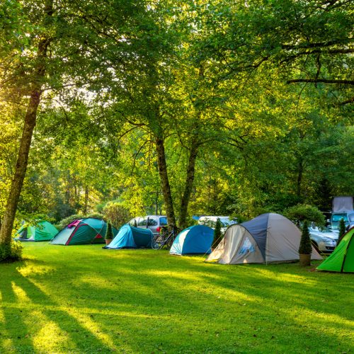 Tents Camping area, early morning, beautiful natural place with big trees and green grass, Europe