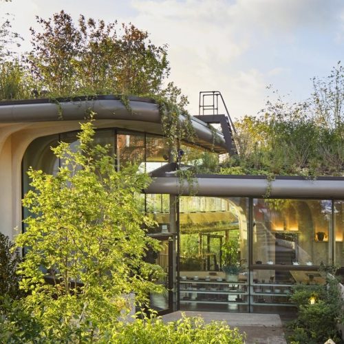 Arquitetura Biofílica: Como Integrar a Natureza Dentro de Casa