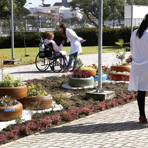 Jardins Terapêuticos: Como a Natureza Pode Ajudar na Saúde Mental