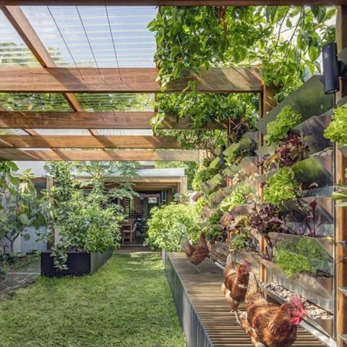 Jardins Sustentáveis e Autossuficientes: Guia Completo para um Espaço Verde Ecológico