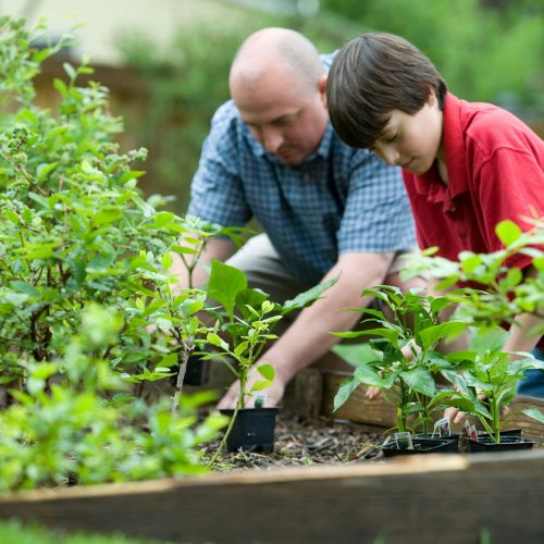 Os Benefícios de Cuidar do Jardim para Sua Saúde